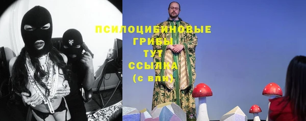 амф Бородино