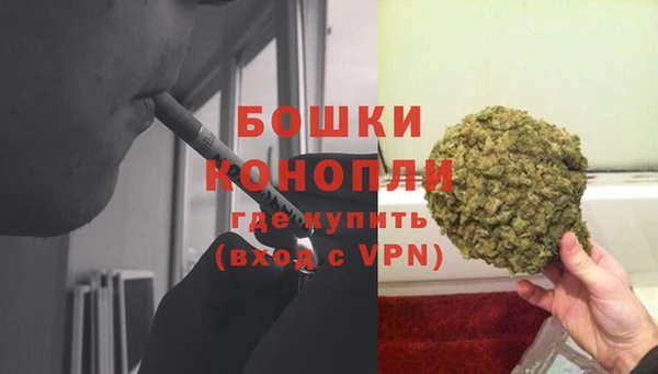 шишки Бронницы