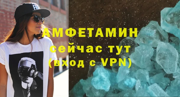 амф Бородино