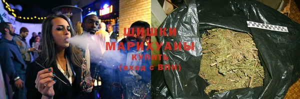 амф Бородино