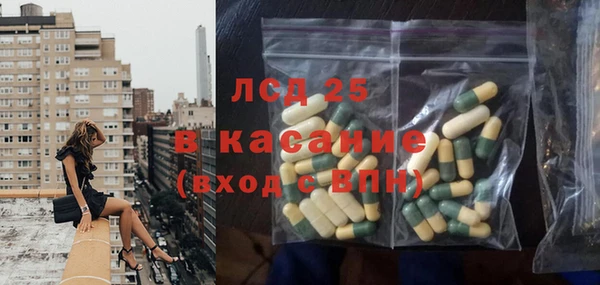 шишки Бронницы