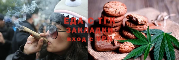амф Бородино